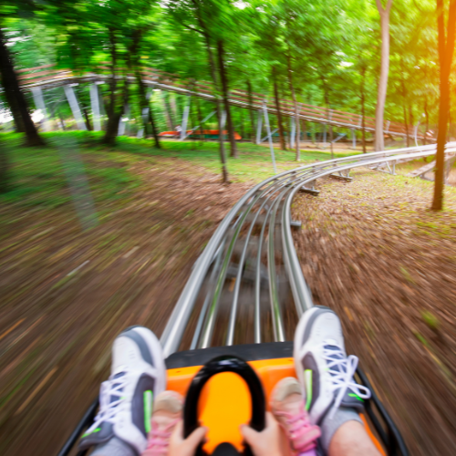 Sommerrodelbahn in Kohren-Sahlis - ca. 40 km von Zwenkau entfernt, befindet sich die Familienattraktion im "Kohrener Land"... Fahrt mit einer Sommerrodelbahn durch grüne Lanschaft