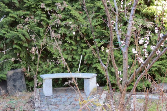 Ruheoase - FeWo am Zwenkauer See Naturbank vor grünem Hintergrund mit Pflanzen und Sträuchern.